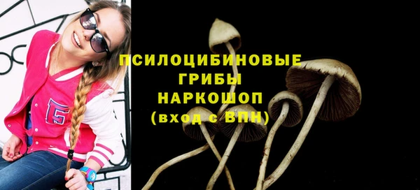 мдма Гусиноозёрск