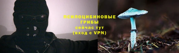 2c-b Надым