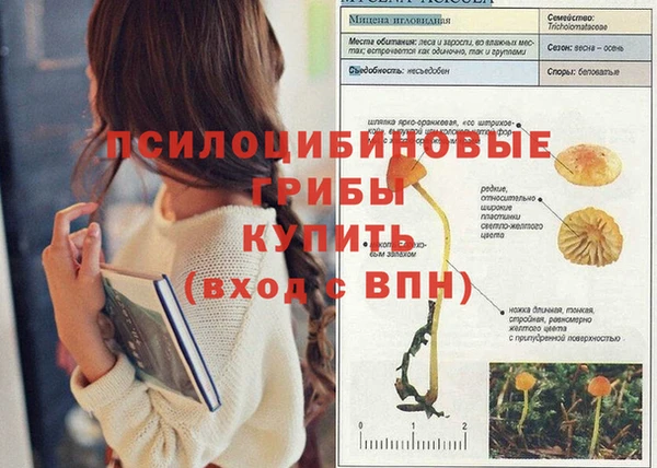соль ск Абдулино