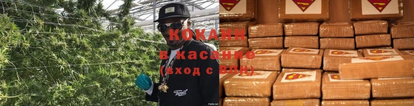 2c-b Надым
