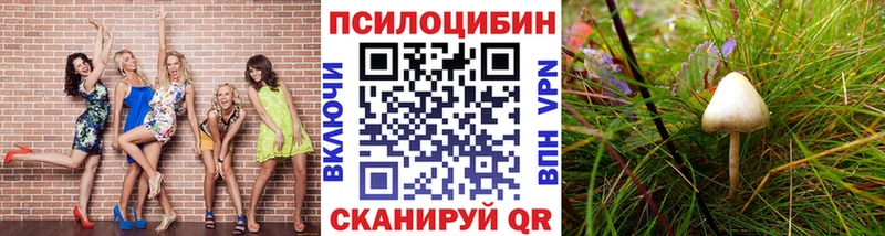 Псилоцибиновые грибы прущие грибы  OMG сайт  Фёдоровский 