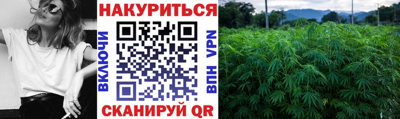 Марихуана White Widow  Фёдоровский 